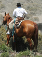 Cowboy on horseback